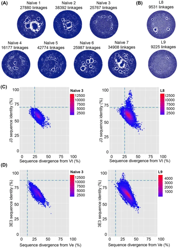 VHH repertoires of naïve and protein-immunized llamas.