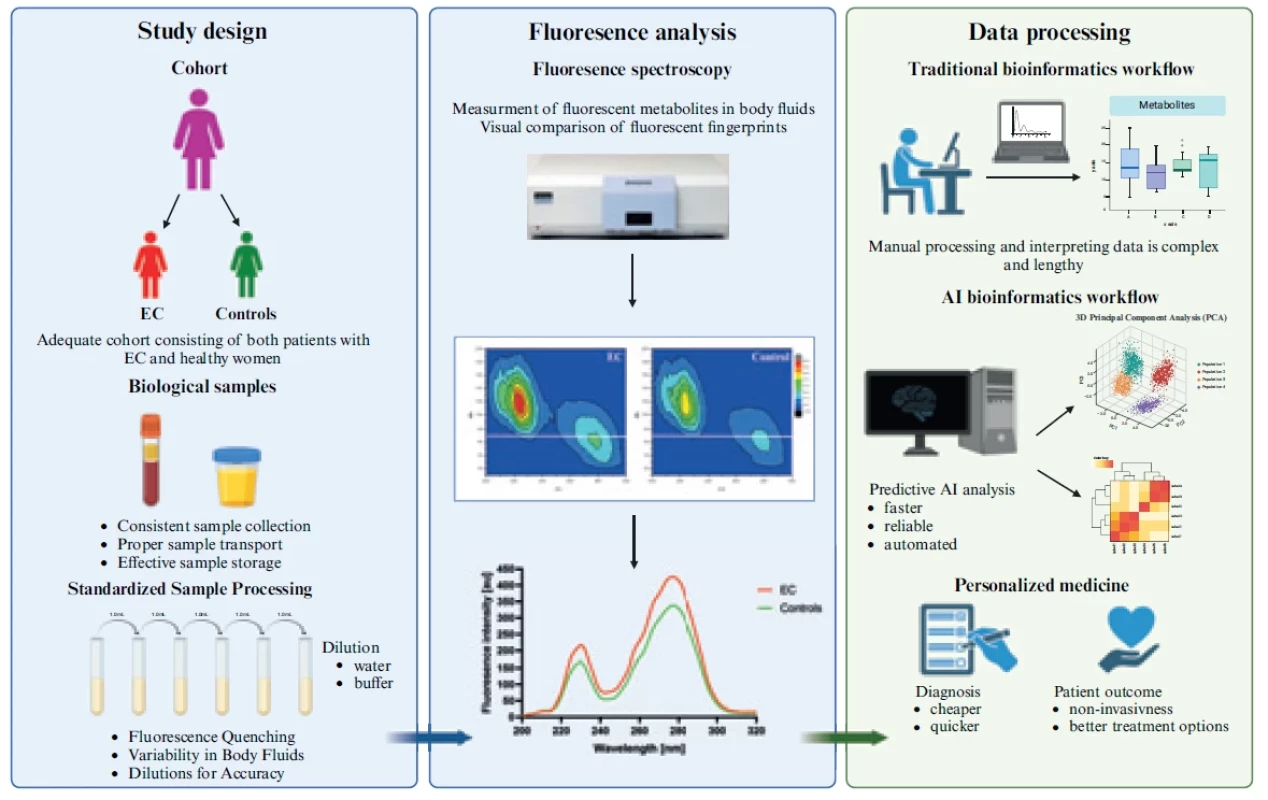 Prospective workflow for fluorescence metabolite research in EC. 