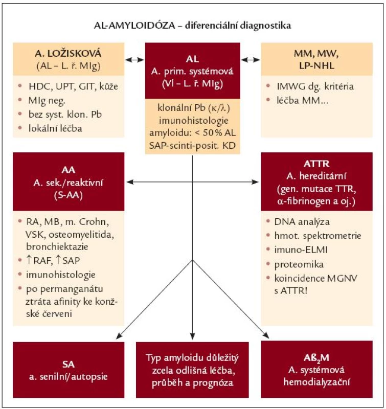 Diferenciální diagnostika AL-amyloidózy. AL – AL-amyloidóza, LŘ MIg – lehké řetězce monoklonálního imunoglobulinu, Pb – plazmatické buňky, SAP- scintigrafie – scintigrafie s použitím označené sérové amyloidové P-komponenty, HDC – horní dýchací cesty, UPT – uropoetický aparát, GIT – gastrointestinální trakt, MM – mnohočetný myelom, MW – Waldenströmova makroglobulinemie, LP-NHL – lymfoplazmocytární ne-hodgkinský lymfom, IMWG – Internati onal Myeloma Working Group, AA – sekundární, resp. reaktivní amyloidóza, RA – revmatoidní artritida, MB – Bechtěrevova choroba, VSK –
vaskulitidy, RAF – reaktanty akutní fáze, ATTR – hereditární amyloidóza podmíněná mutací genů pro transthyretin, DNA – deoxyribonukleová kyselina, ELMI – elektronová mikroskopie, MGNV – monoklonální gamapatie nejistého původu, SA – senilní amyloidóza, Aβ<sub>2</sub>M – dialyzační amyloidóza, kde prekurzorem amyloidu je β<sub>2</sub>- mikroglobulin.