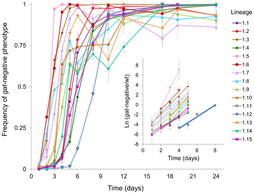 Emergence and spread of beneficial mutations in the <i>gat</i> operon.