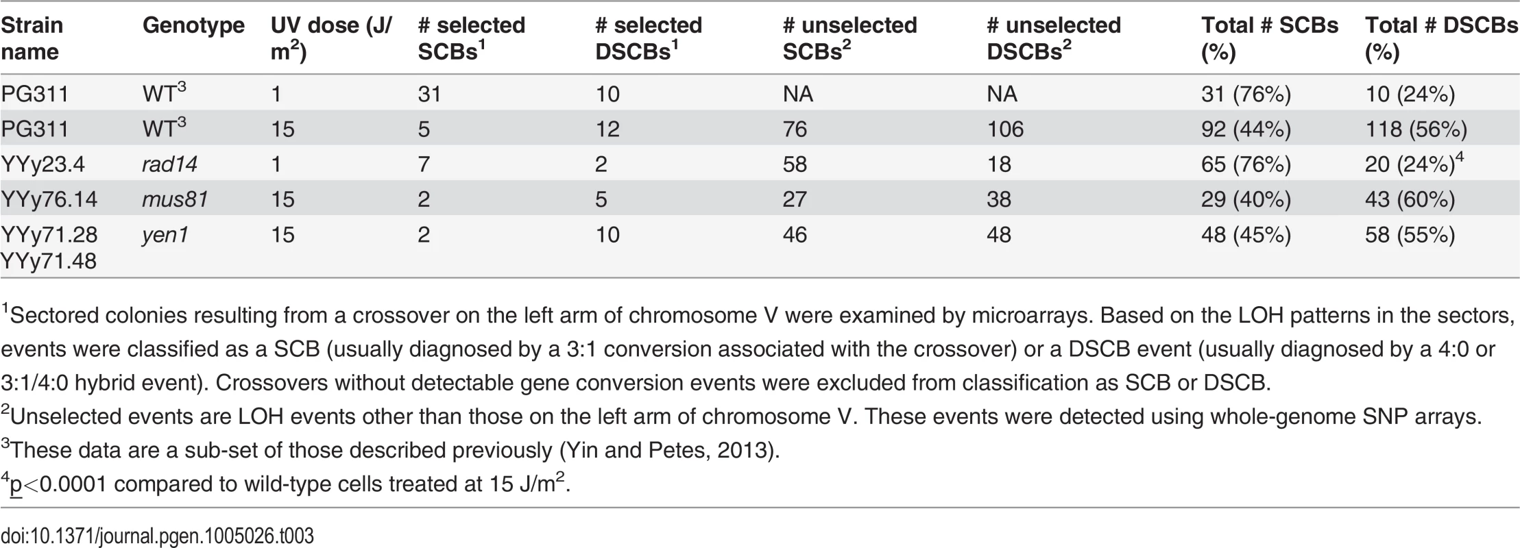Numbers of single-chromatid breaks (SCBs) and double sister-chromatid breaks (DSCBs) induced by UV in G1-synchronized cells.