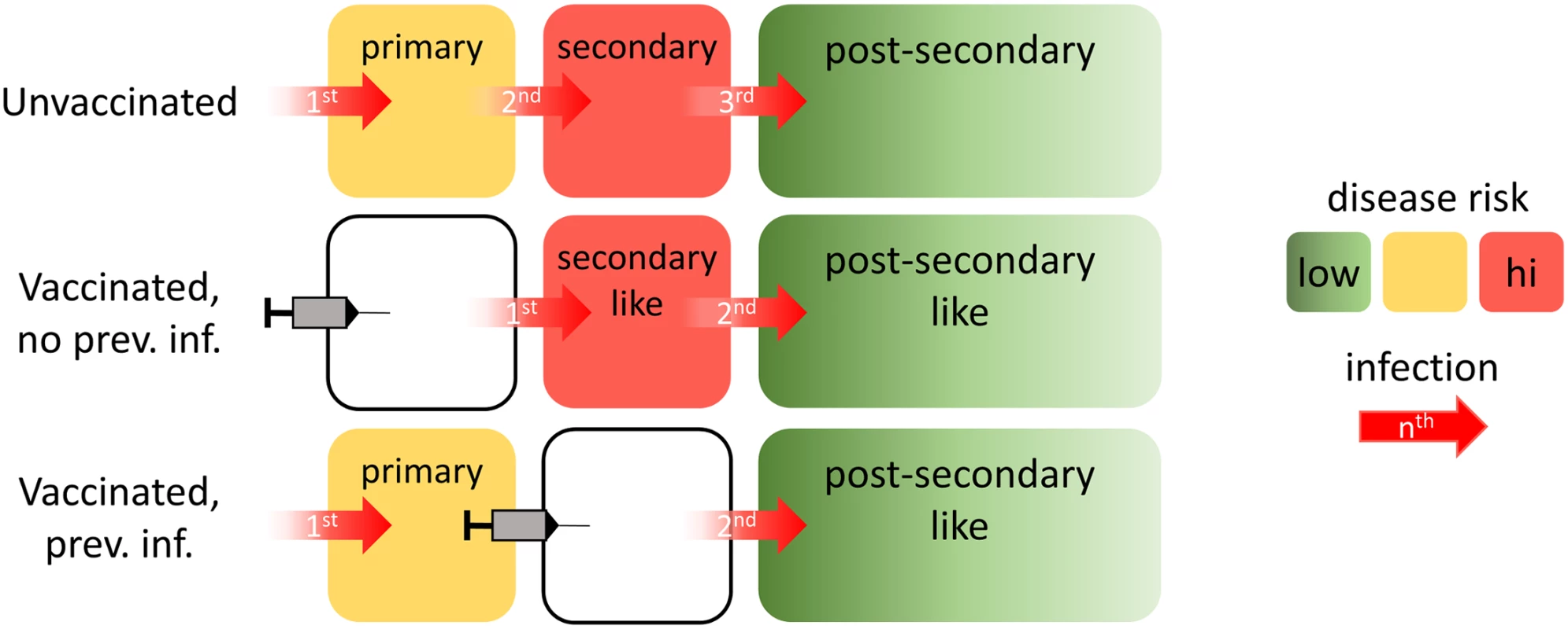 Illustration of the assumed vaccine mode of action.