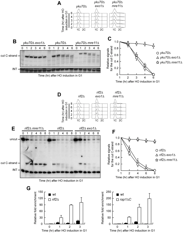 Nuclease requirements for ssDNA generation at a de novo telomere.