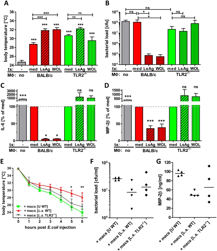 Transfer of primed macrophages improves <i>E. coli</i>-induced sepsis.