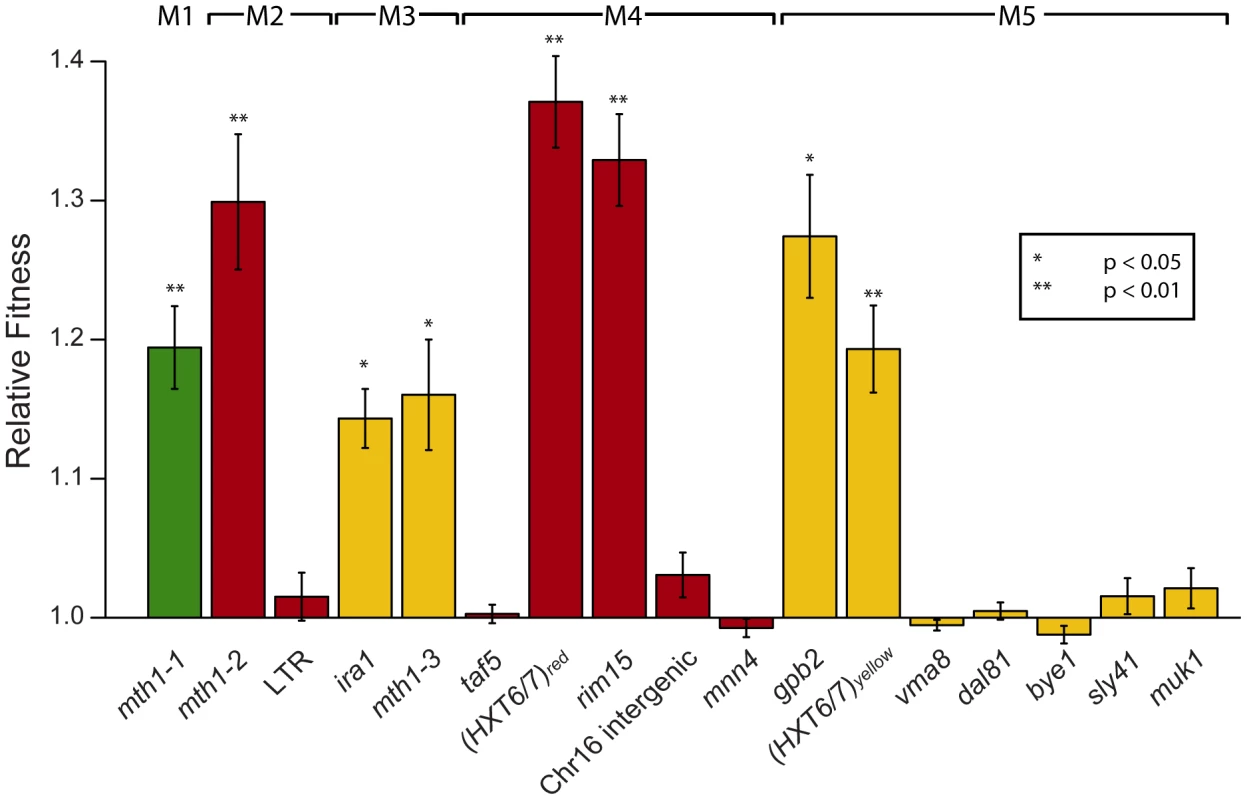 Relative fitness of individual mutations derived from competition experiments.