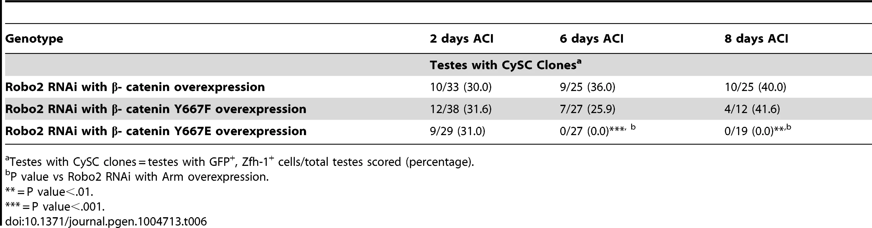 The phosphorylation state of β-catenin affects CySC maintenance in the <i>Drosophila</i> testis.
