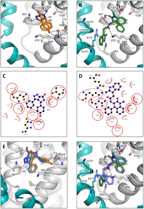 HIV-1 CA hexamer complexes with pharmacologic ligands BI-2 and PF74.