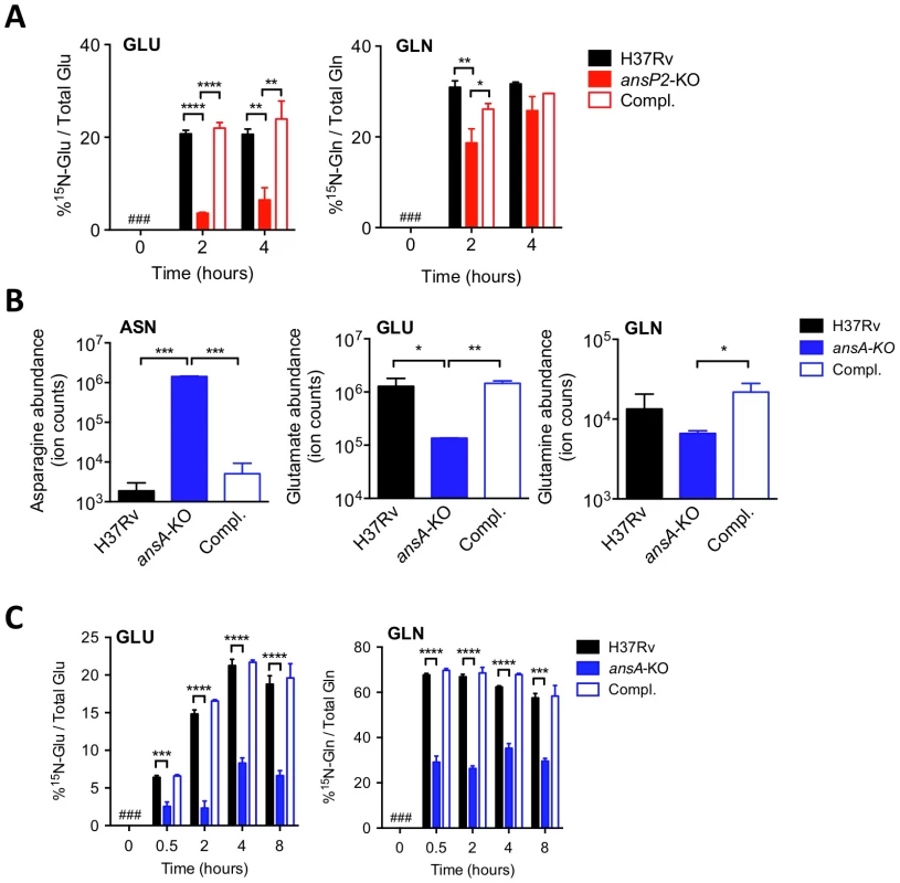 AnsP2 and AnsA are involved in nitrogen incorporation from asparagine in <i>M. tuberculosis</i>.