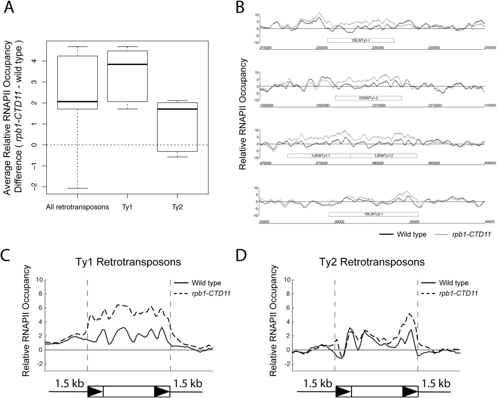 Genome-wide occupancy profiles of RNAPII suggested a role for the RNAPII-CTD in retrotransposon regulation.