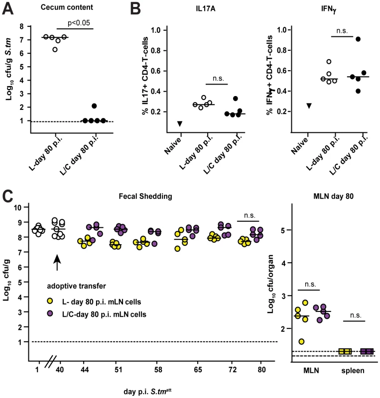 Adoptive transfer of MLN cells isolated form mice that cleared <i>S. tm</i><sup>att</sup> from the intestine into <i>S. tm</i><sup>att</sup>→L mice (day 40 p.i.) does not induce <i>S. tm</i><sup>att</sup> clearance.