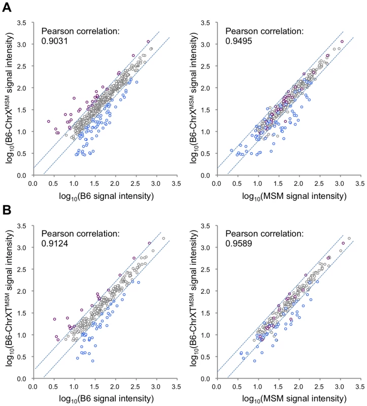 Comparison of signal intensities of MSM-derived X-linked transcripts in two X chromosome substitution strains with those in B6 or MSM.