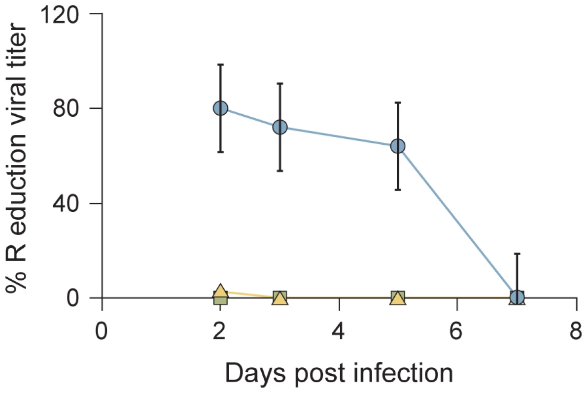 VIKI-PEG<sub>4</sub>-chol peptide efficiently curtails multicycle replication in HAE culture.