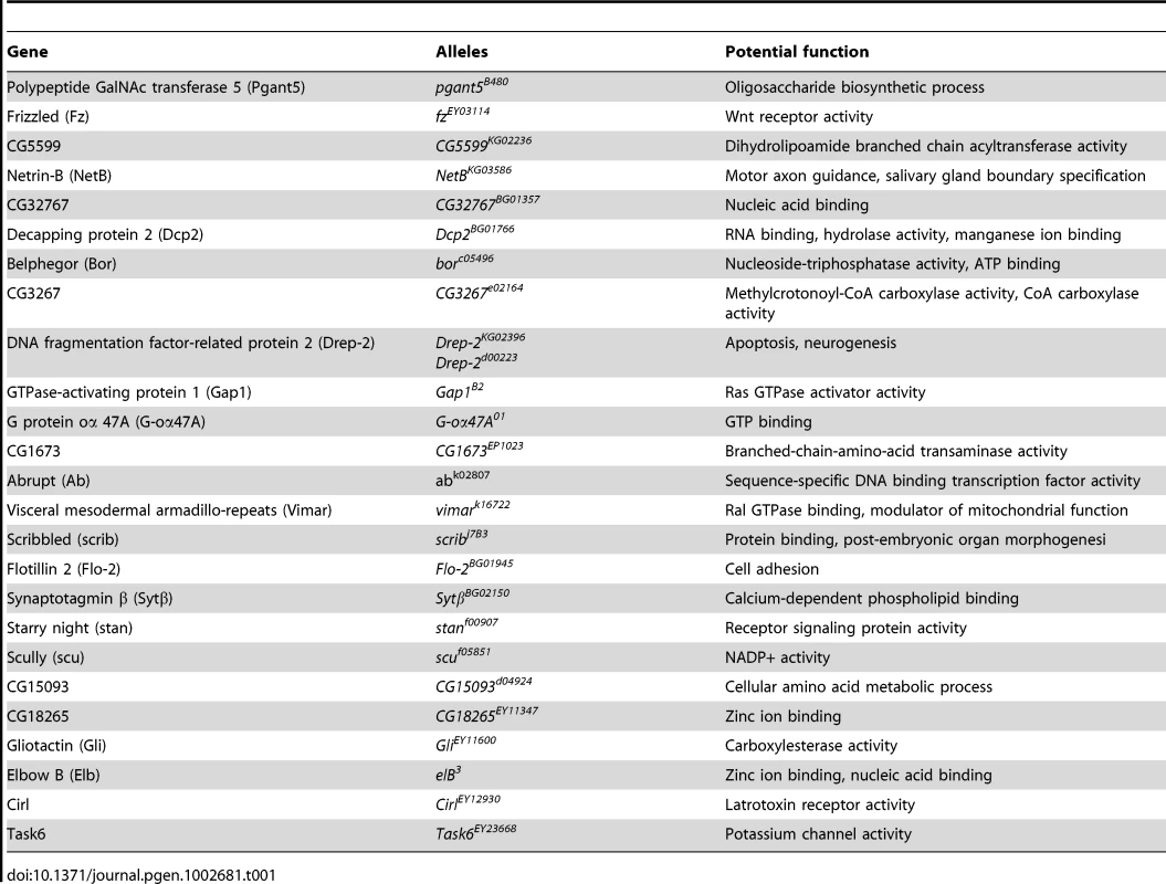 Mutant alleles corresponding to the mRNA targets of miR-277 used for genetic screen.
