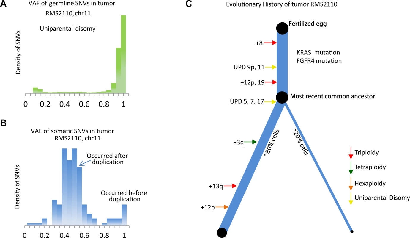 Inferring evolutionary history of a PFN sample, RMS2110.