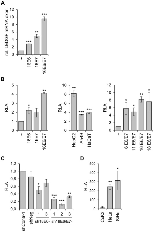 Activation of <i>LEDGF</i> expression by the HPV <i>E6/E7</i> oncogenes.