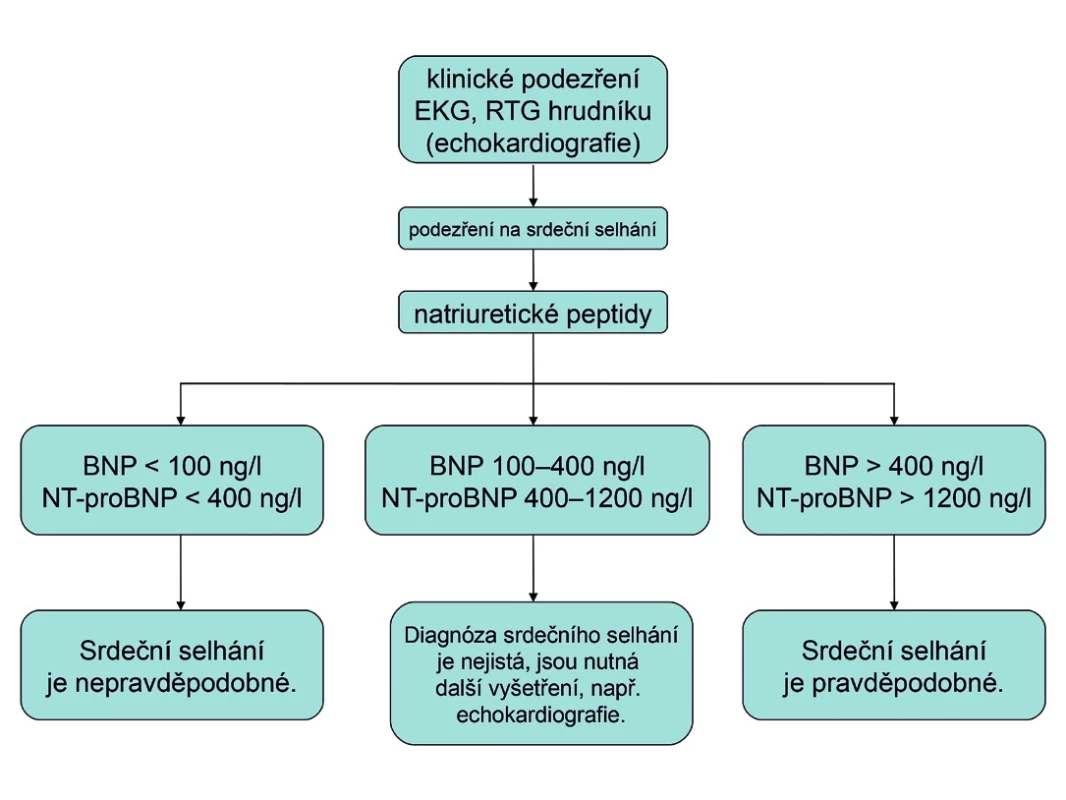 Algoritmus použití hodnot natriuretických peptidů v diagnostice dosud neléčeného srdečního selhání (podle 13)
BNP – natriuretický peptid typu B, NT-proBNP – aminoterminální konec prohormonu BNP, EKG - elektrokardiogram, RTG – rentgenogram