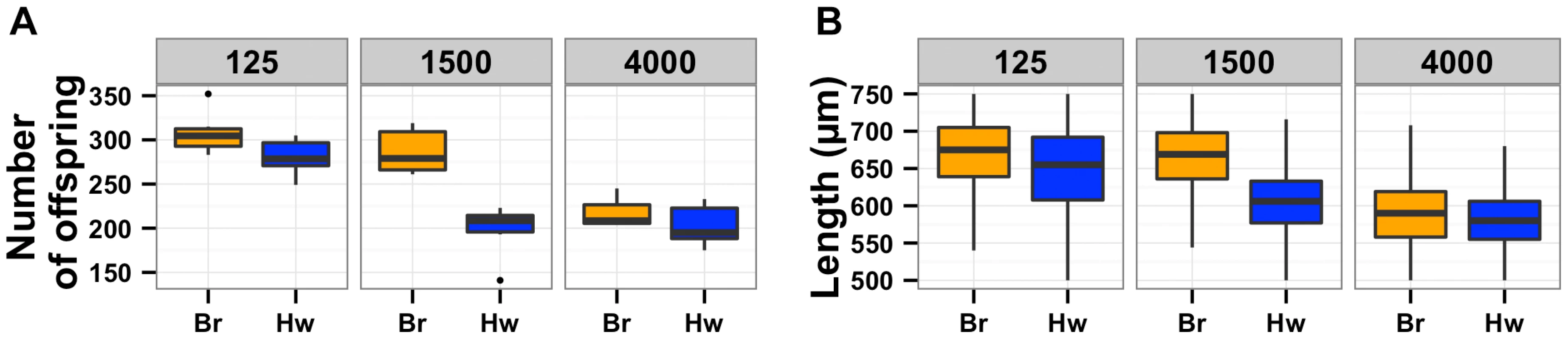 Population density directly impacts lifetime fecundity and adult body size.