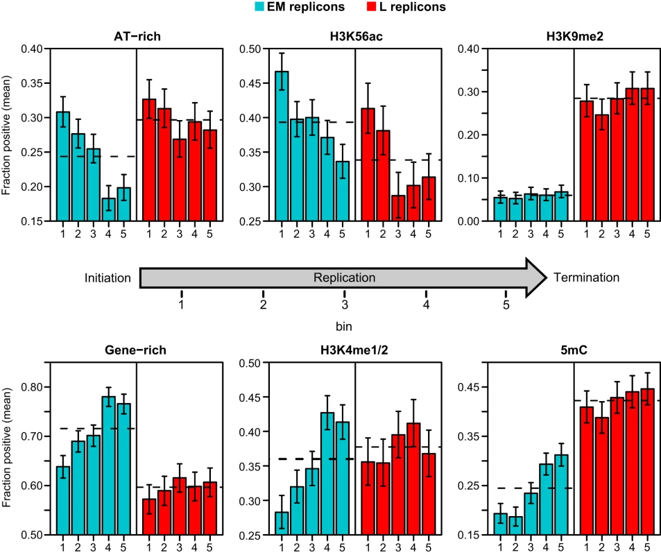 Distribution of genetic and epigenetic features within replicons.