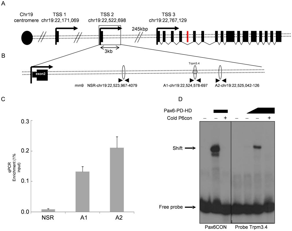 Pax6 directly binds a <i>Trpm3</i> enhancer sequence <i>in vitro</i> and <i>in vivo.</i>
