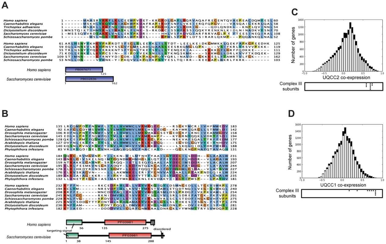 UQCC2 and UQCC1 are orthologous to the fungal complex III assembly factors Cbp6p and Cbp3p.