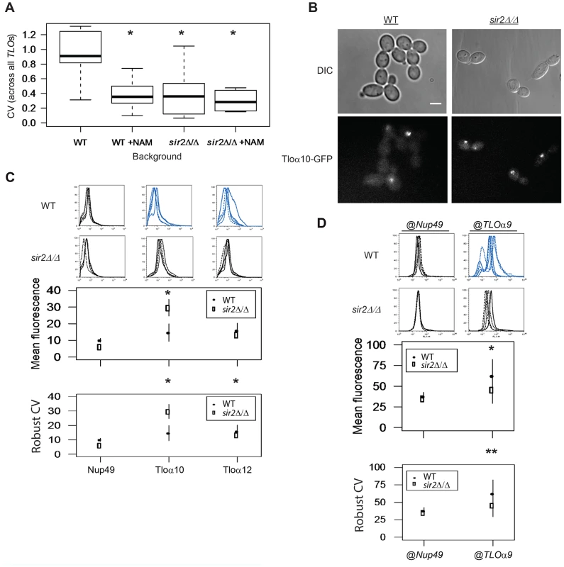 Sir2 contributes to <i>TLO</i> TAGEN.