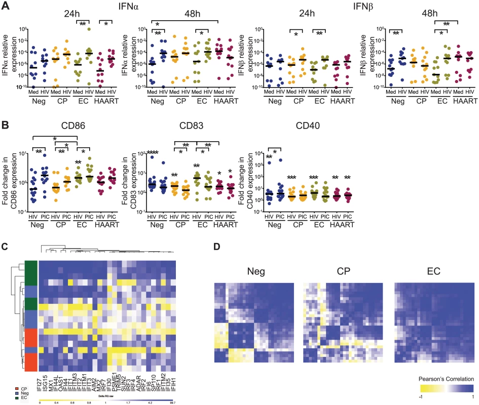 Type I IFN secretion and activation in cDCs after <i>ex-vivo</i> exposure to HIV-1.