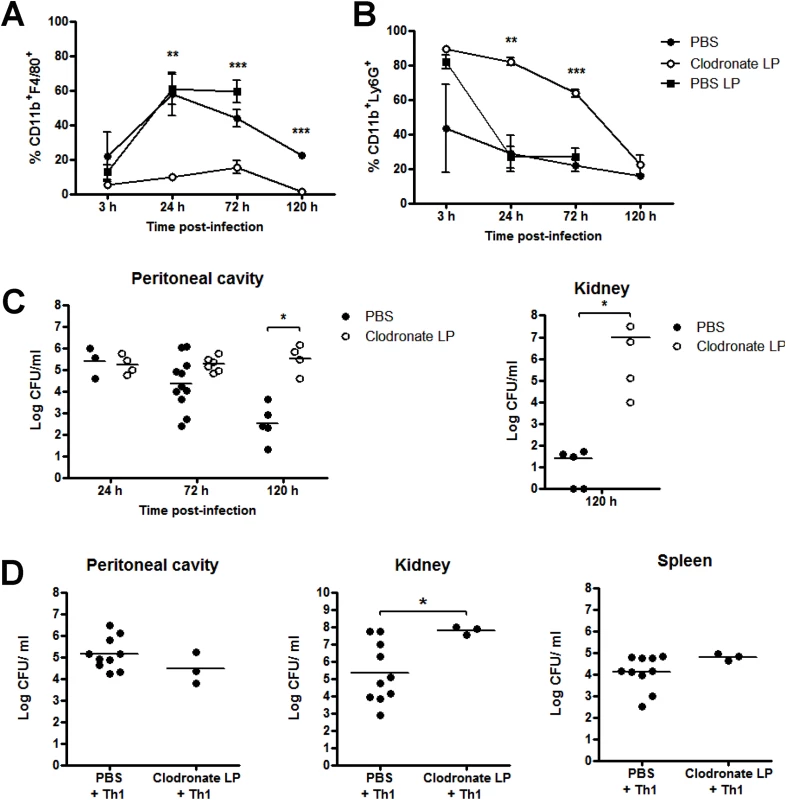 Macrophages are critically important in protection against <i>S</i>. <i>aureus</i> infection.