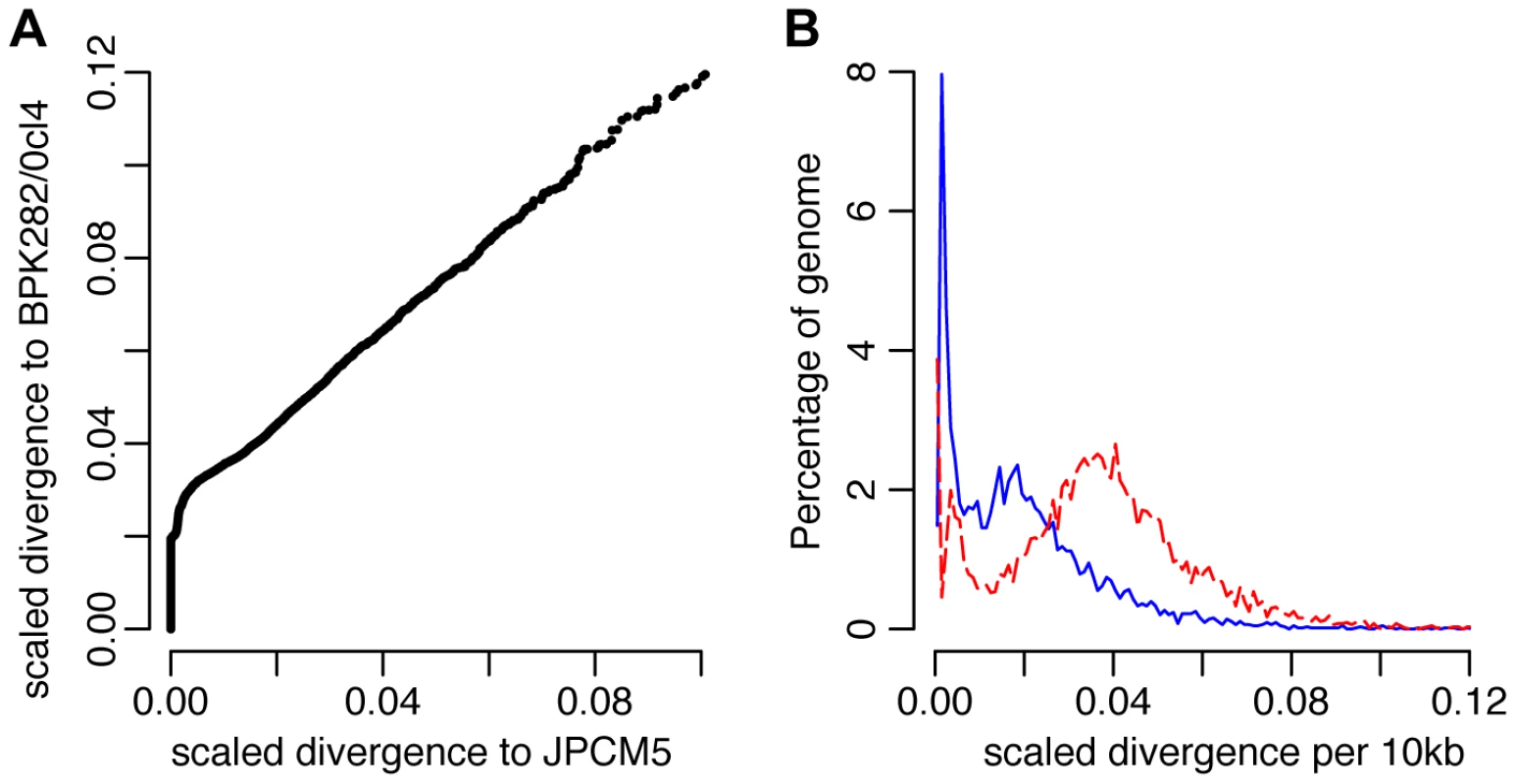Genome-wide divergence between the CUK strains and other <i>L. donovani</i> complex reference genomes.