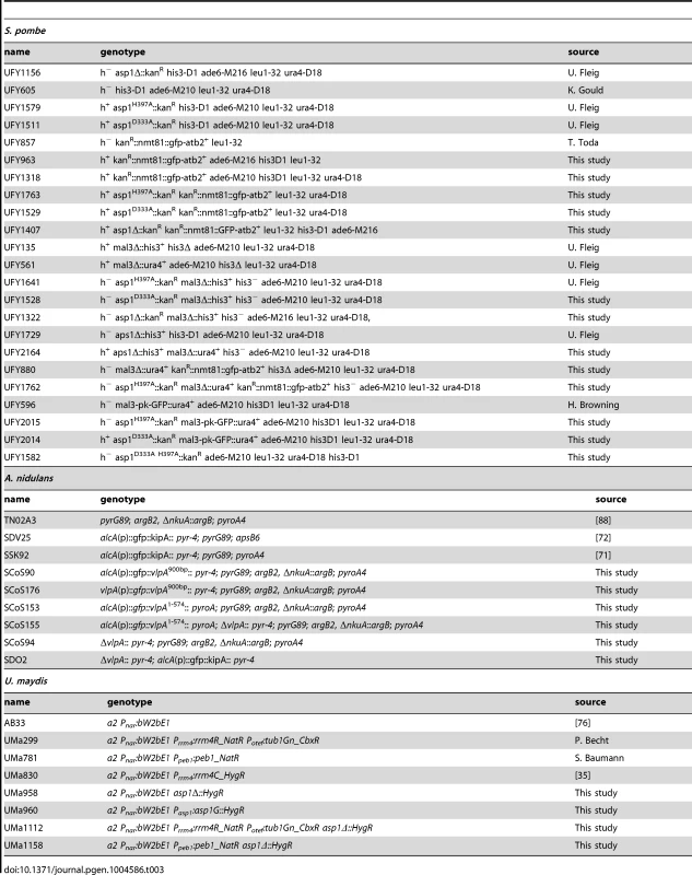Strains used in this study.