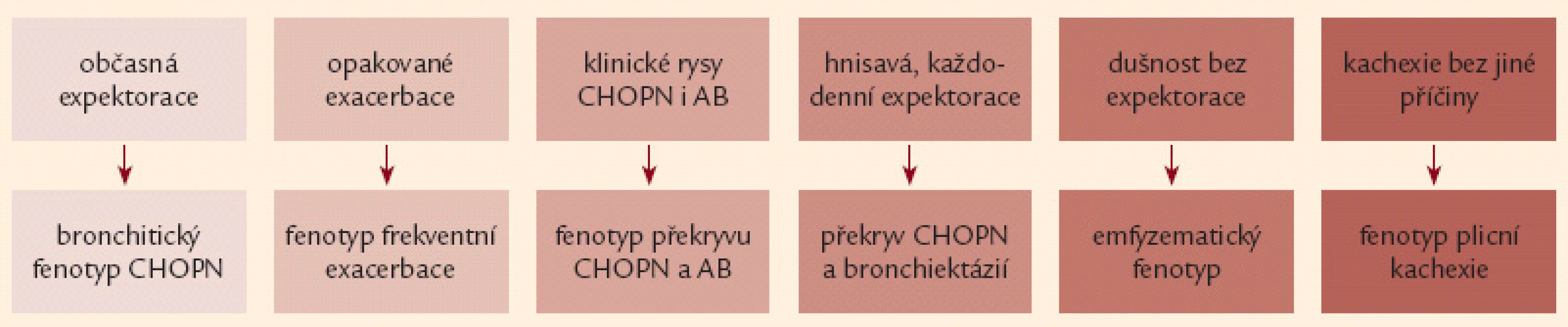 Přehled základních klinických projevů šesti fenotypů chronické obstrukční plicní nemoci (podrobněji viz text a obr. 4).