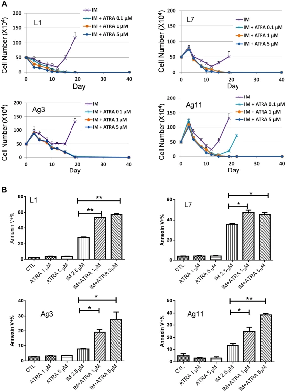 Effects ATRA treatment on CML cells acquiring different BCR-ABL mutations or no mutations.