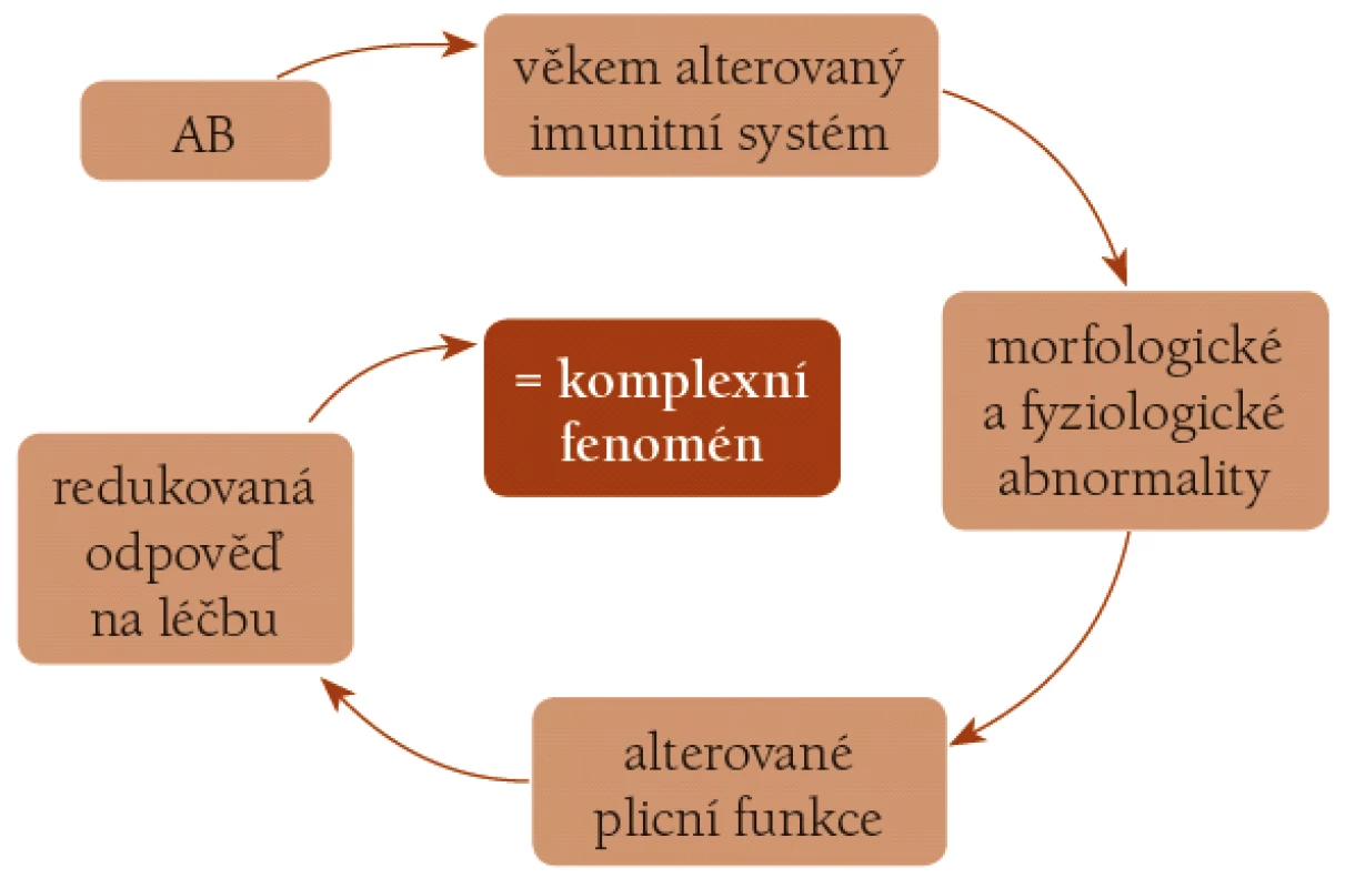 Seniorské astma.