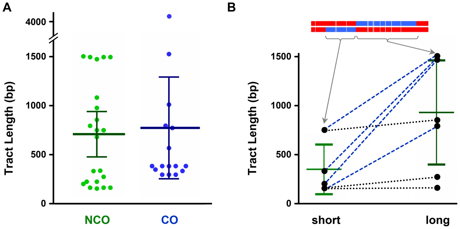 Comparison of hDNA tract lengths.