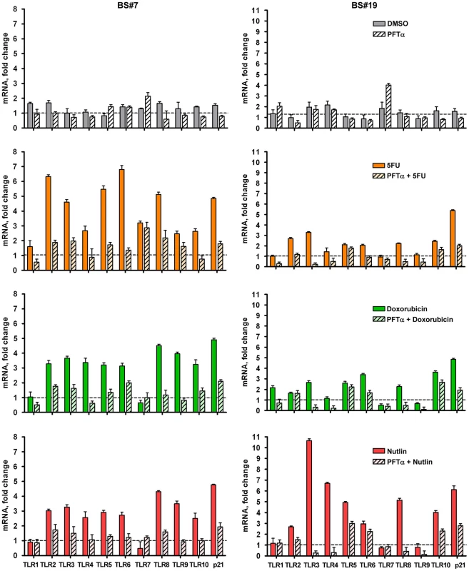 Inhibition of p53 activity by pifithrin-alpha dramatically reduces p53-dependent TLR induction by DNA damage and p53 activation.