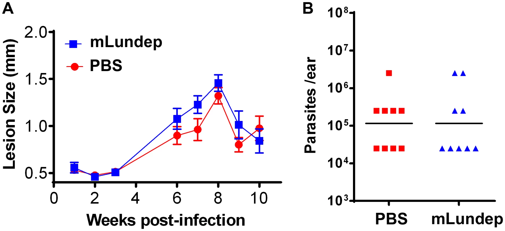 Mutation in the recombinant Lundep (rLundep) active site abrogates its virulence in a murine cutaneous leishmaniasis model.