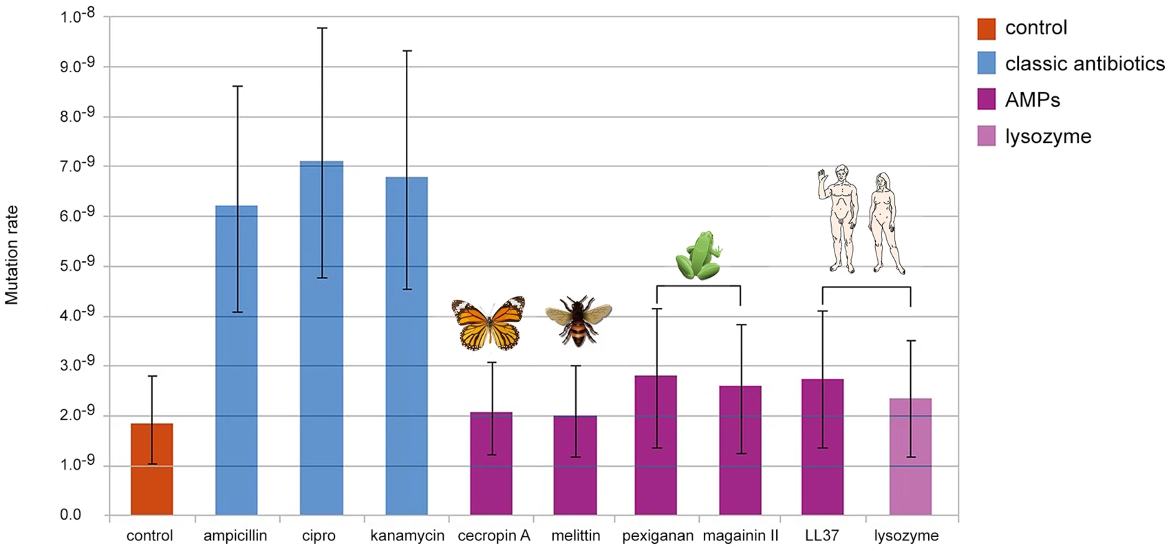 Changes in mutation rate in E. coli MG1655 induced by different antimicrobial treatments.