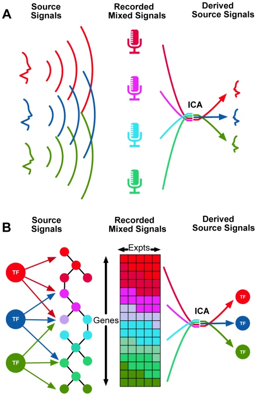 Independent Component Analysis (ICA) can be used to identify transcriptional modules from gene expression data.