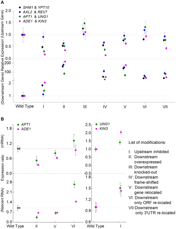 RT-PCR expression assay of convergent gene pairs located in <i>cis</i> or in <i>trans</i>.