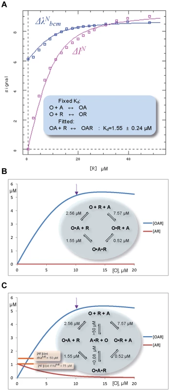 Fluorescent studies and simulations of the ternary complex formation between ORF57, O, fragment of viral RNA, R, and ALYREF, A.