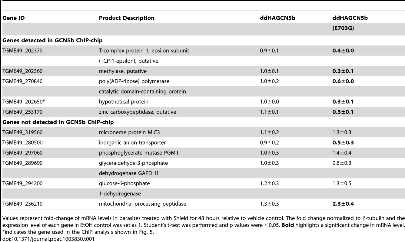 Levels of select mRNAs detected in <sub>ddHA</sub>GCN5b and <sub>ddHA</sub>GCN5b(E703G) parasites.