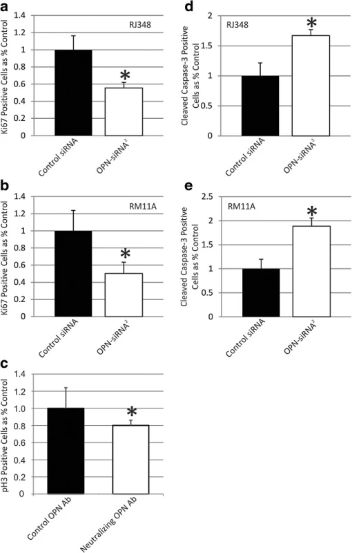 Quantification of (a, b) Ki67 immunofluorescence or (d, e) cleaved caspase 3 immunofluorescence in (a, d) RJ348 cells or (B,E) RM11A cells after treatment with a GC control siRNA or OPN-siRNA<sup>2</sup>. The percentage of Ki67 positive or cleaved caspase 3 positive cells following OPN-siRNA<sup>2</sup> treatment are presented relative to cells treated with the GC control siRNA. c phospho-histone H3 immunofluorescence in RJ348 cells following administration of 5 μg of an OPN neutralizing antibody or 5 μg of a control antibody. The percentage of phospho-histone H3 positive cells following OPN neutralizing antibody treatment is presented relative to the control antibody. A paired t-test was used to determine statistical significance, *<i>p</i>˂0.05, n ≥ 3