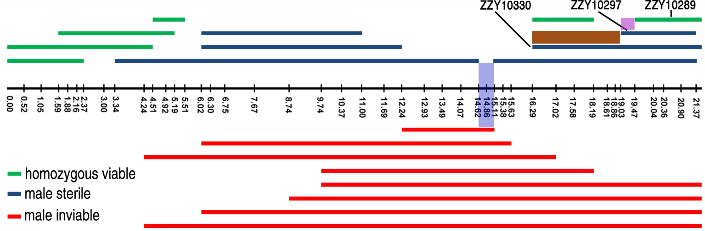 Refined mapping of HI loci on X chromosome by contrasting the HI phenotypes between independent introgressions.