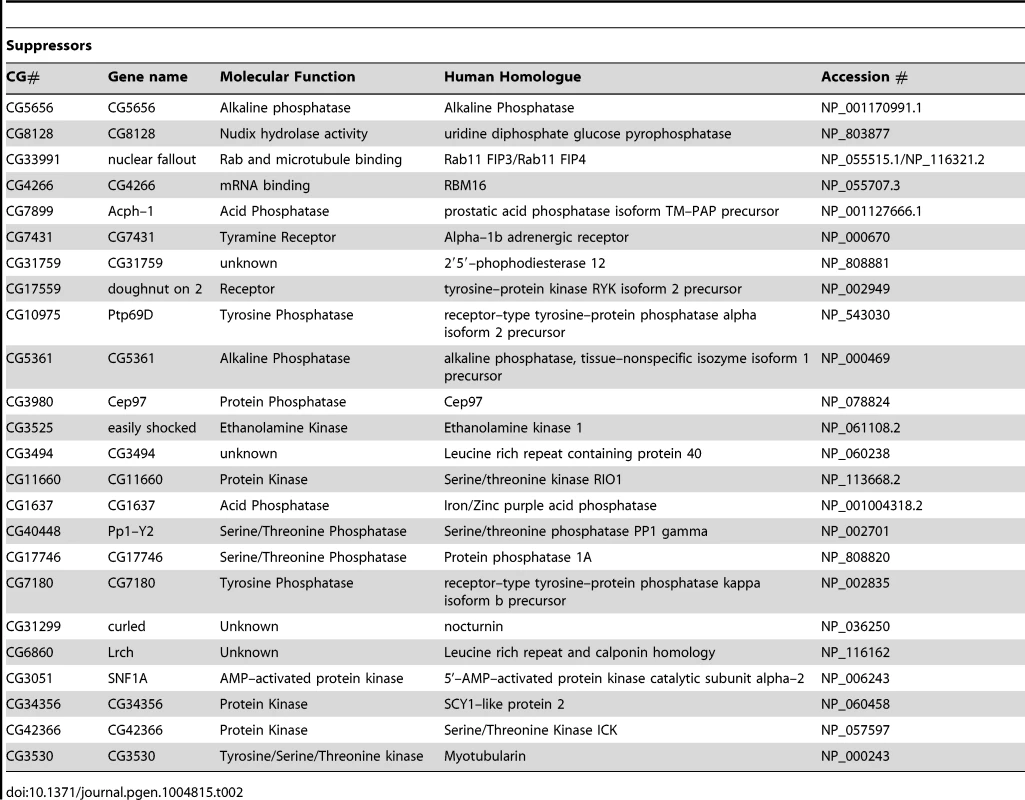 List of genes that suppress <i>pink1</i> dsRNA induced mitochondrial fusion.