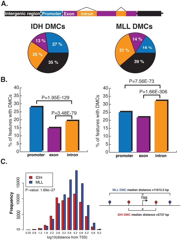 DMCs affect distinct genomic regions in IDH-mut and MLLr AMLs.
