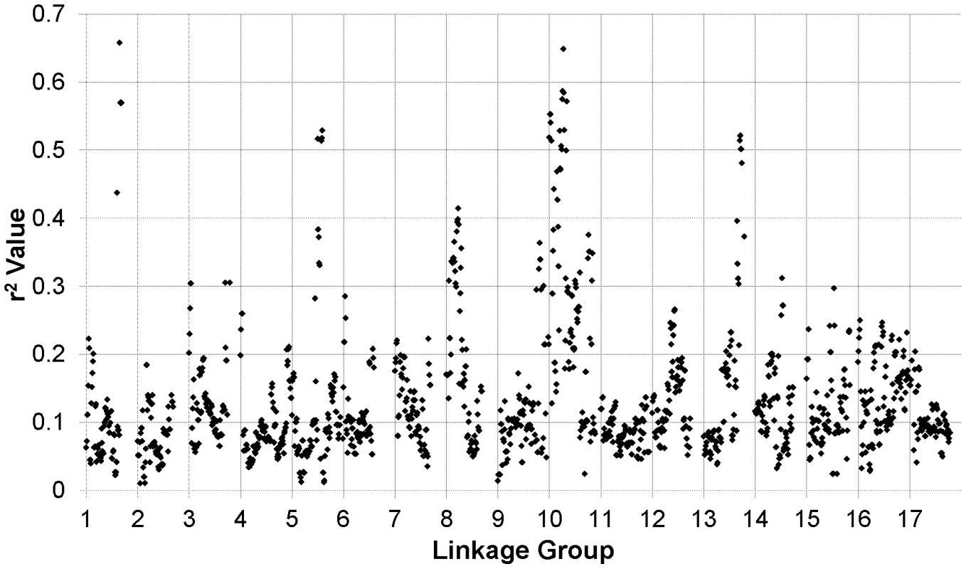 <i>r<sup>2</sup></i> sliding window analysis.