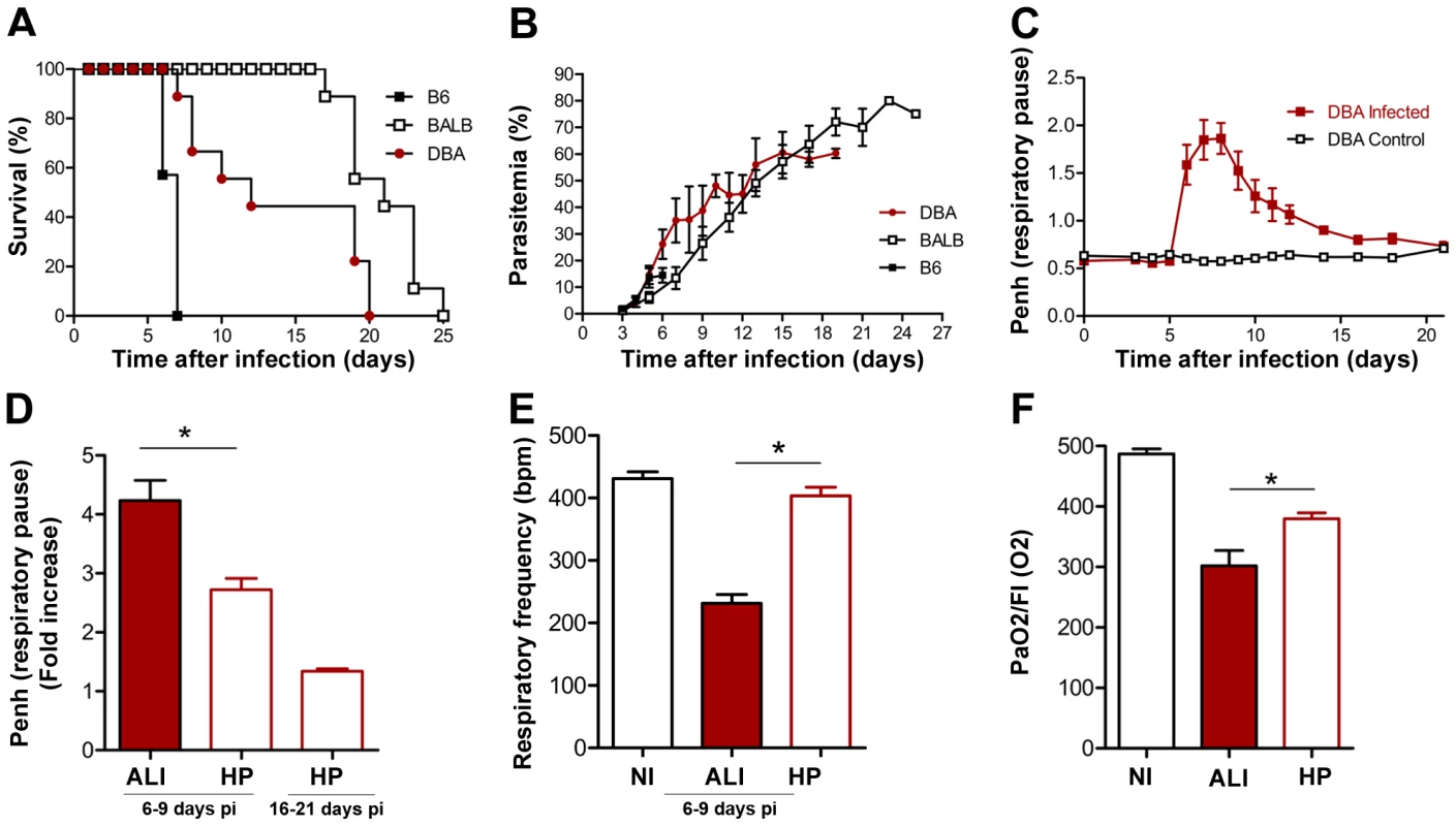 Infection of C57BL/6, BALB/c and DBA/2 mice with <i>P. berghei</i> ANKA.