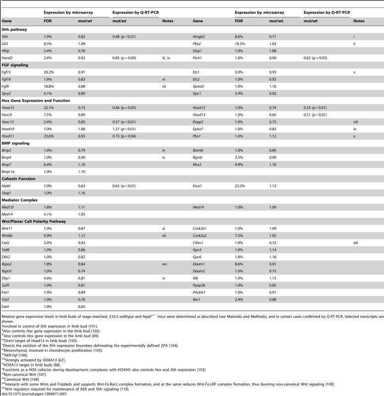 Gene expression changes in <i>Nipbl<sup>+/−</sup></i> mouse limb buds.