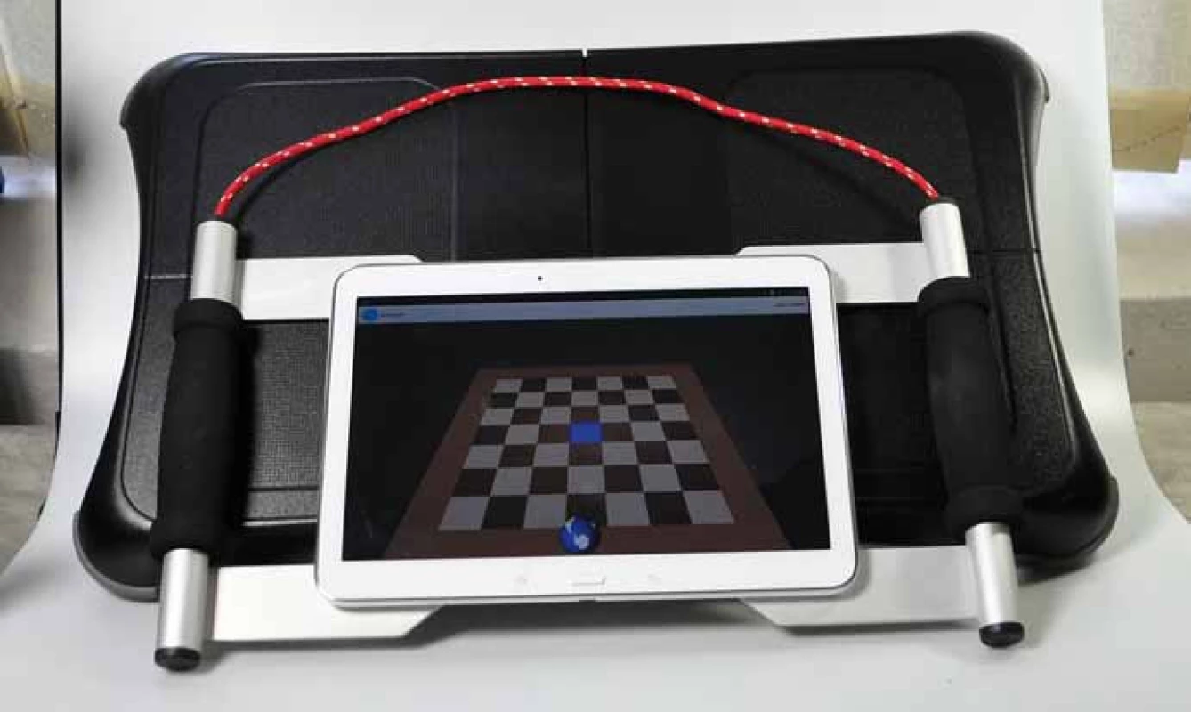 Interaktivní systém pro terapii poruch rovnováhy.
Fig. 1. Interactive system for therapy of balance disorders.