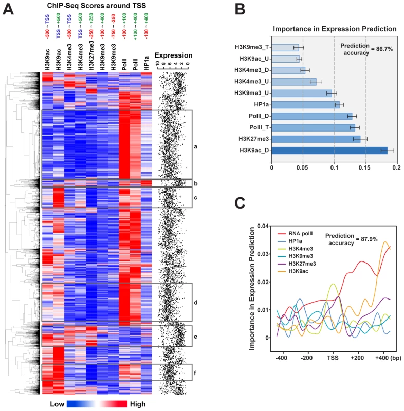 Epigenetic signatures around the TSS can predict gene expression levels.