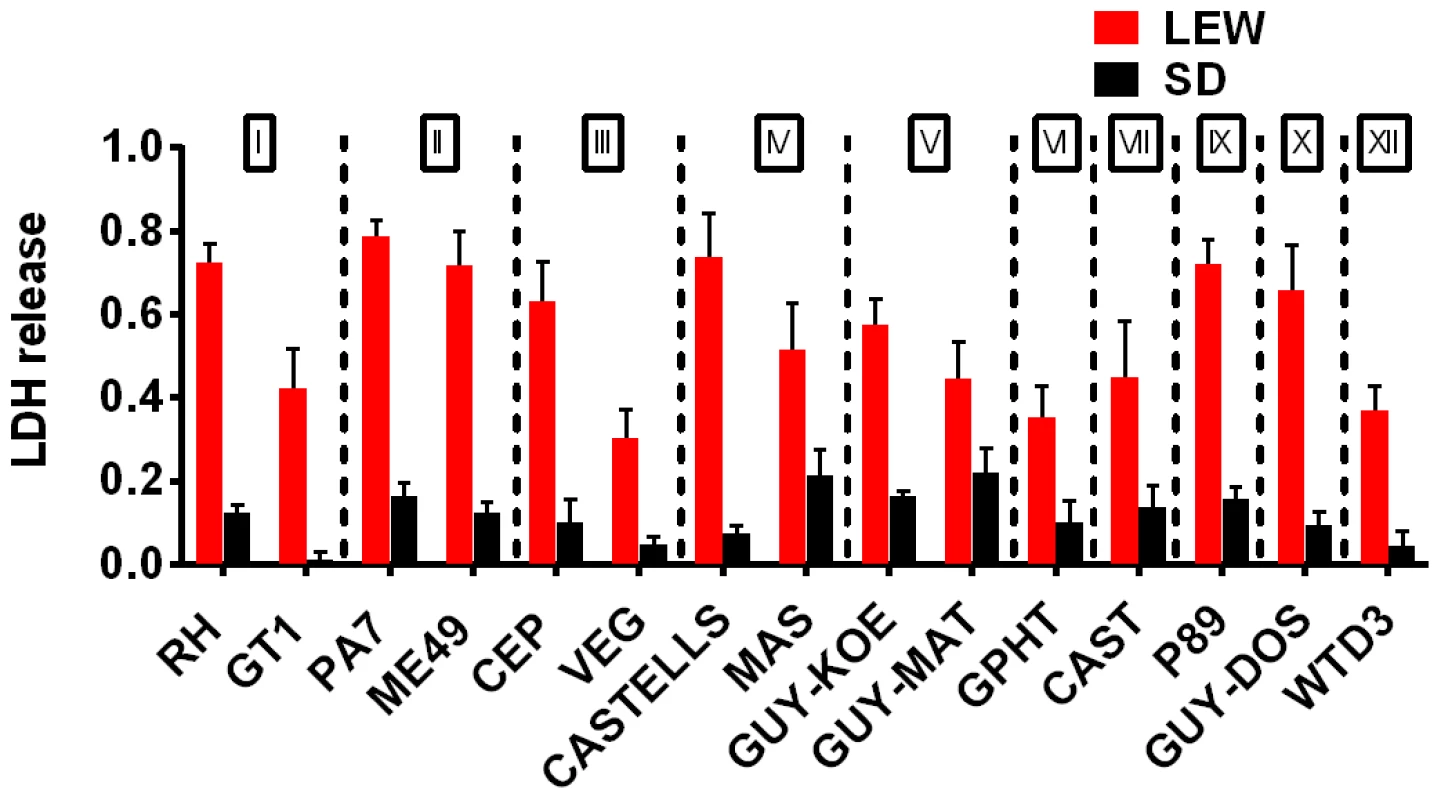 NLRP1 variant-dependent rapid cell death is induced by many different parasite strains.